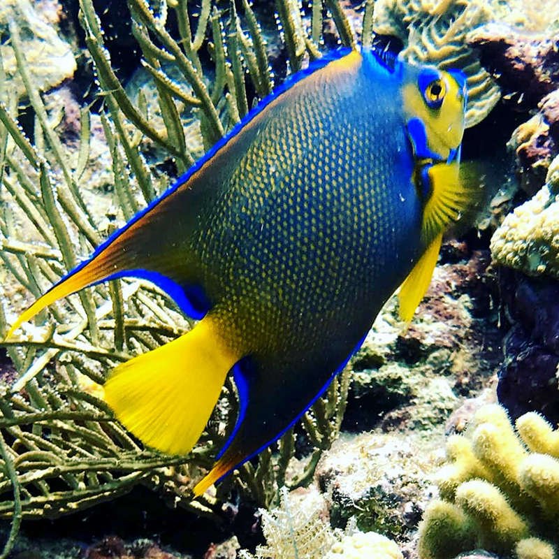 Nadal Bayahibe Tours Rent a Car