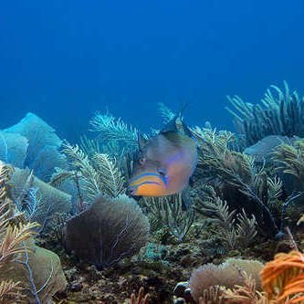 Catalina Nadal Bayahibe Excursiones Tours