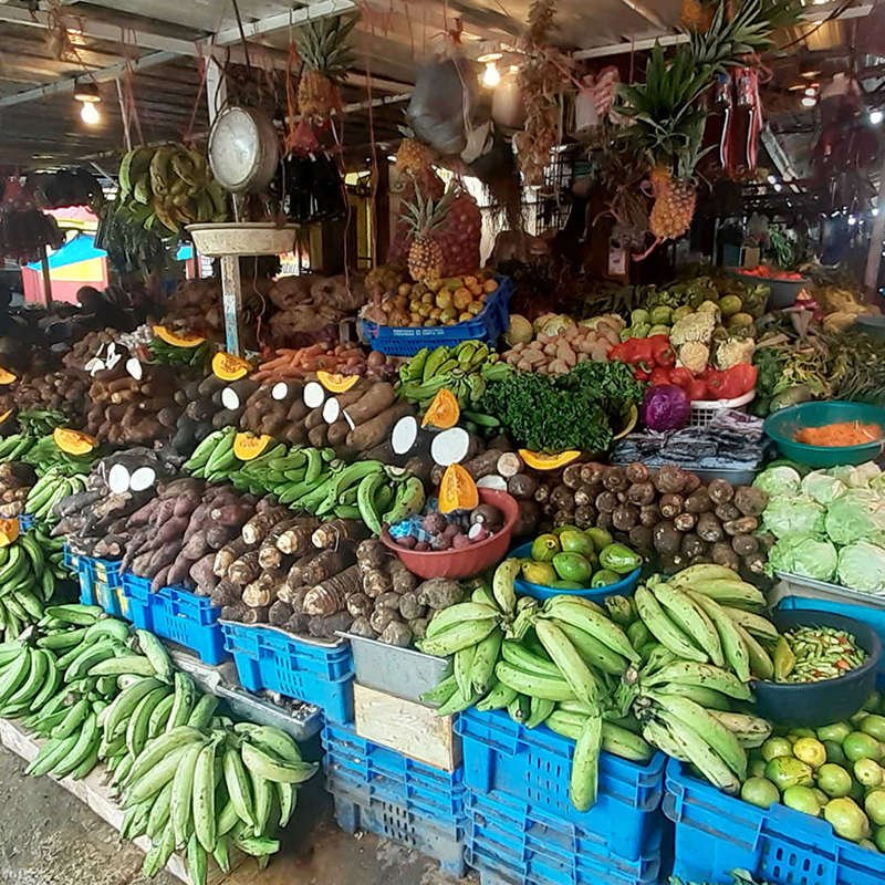 Nadal Bayahibe Tours Rent a Car